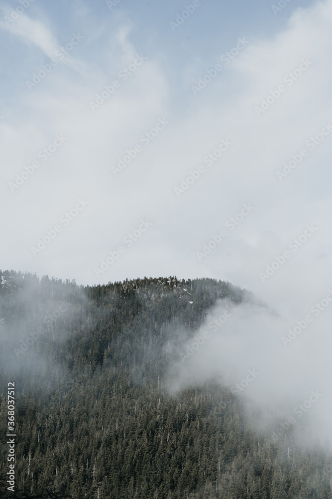 foggy moody sky on Vancouver Mountain, Canada