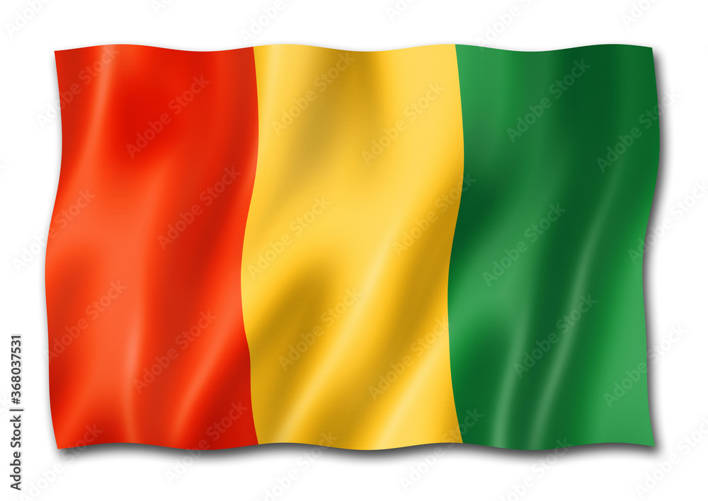 Guinean flag isolated on white
