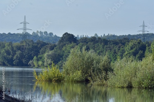 green forest reflected in the lake in summer