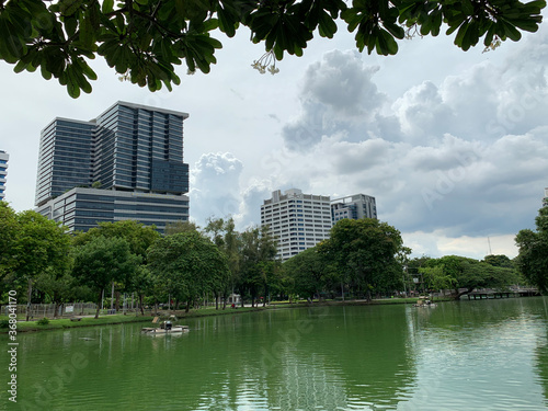 Green trees and ponds in the public gardens