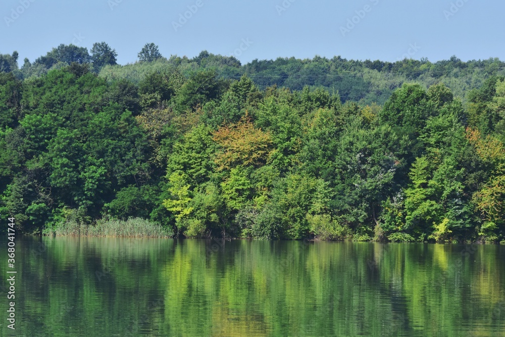 green forest reflected in the lake in summer - obrazy, fototapety, plakaty 