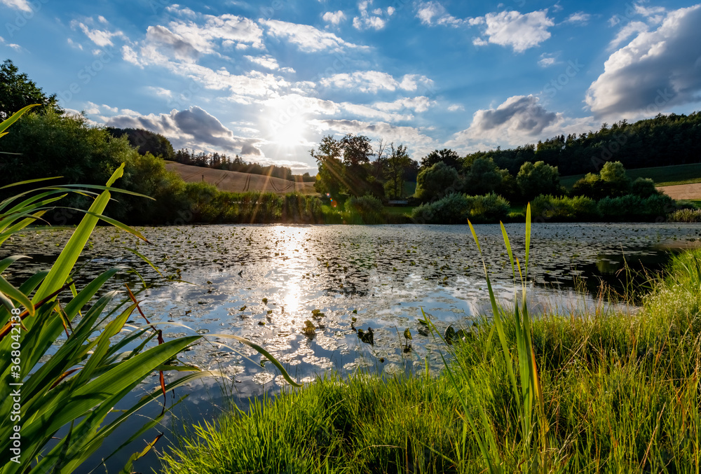 Fototapeta premium Sauerland Teich Tümpel See Seerosen Gegenlicht Wolken Spiegelung Landschaft Deutschland Stimmung Natur Balve Melschede Tal Weg Idyll Schilf Abendlicht Sonnenuntergang Wiesen Wald Panorama Sommer 