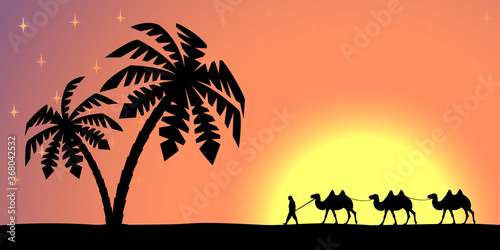 Man on the camel in palm trees at sunset.