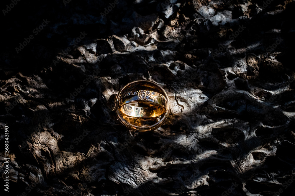 Wedding rings on the wood of the forest. Close up photo of the rings in outdoors.