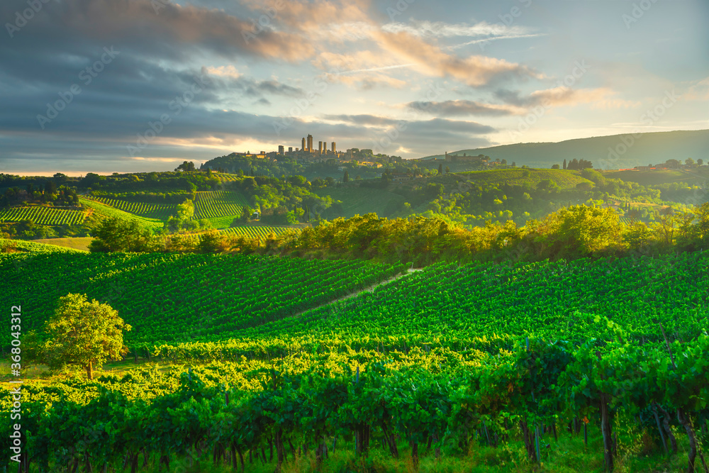 San Gimignano panoramic medieval town towers skyline and vineyards. Tuscany, Italy