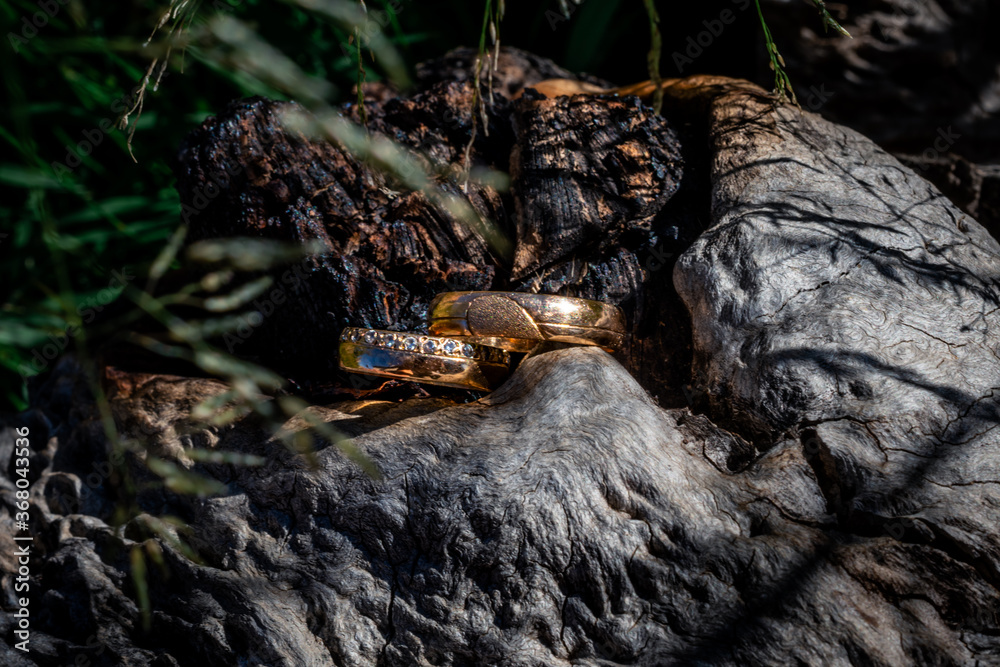 Wedding rings on the wood of the forest. Close up photo of the rings in outdoors. Wedding rings on the wood of the forest. Close up photo of the rings in outdoors.