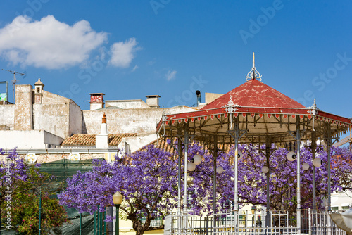 jacaranda tree and bandstand in iron gazebo designs in Faro, Algarve, Portugal