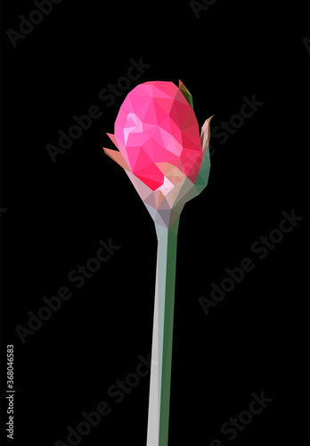 Vector single rose flower isolated on black background. Bright sunny spring or summer detailed and accurate design in low poly style. Floral design element.