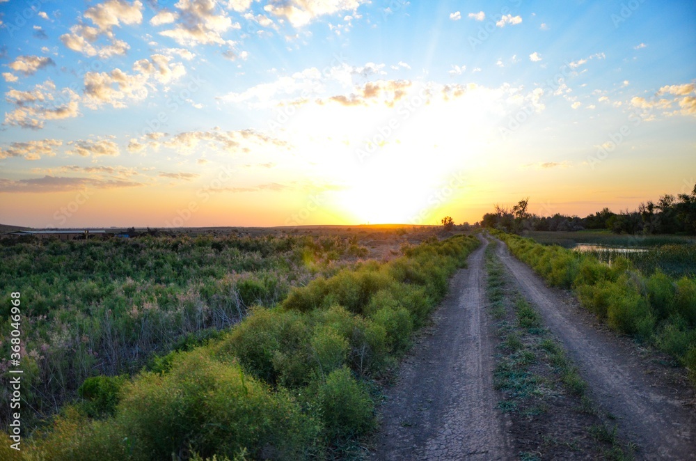 sunset in the field