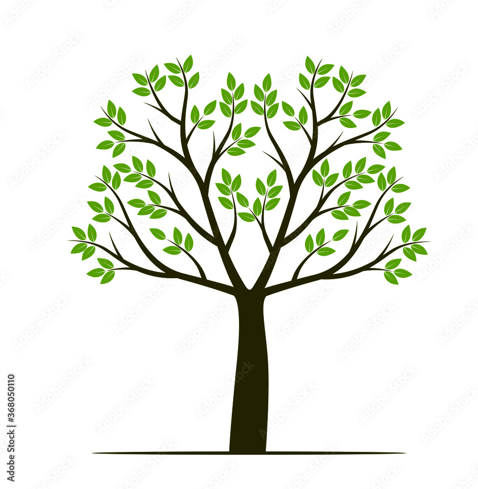 Shape of Tree with leaves, fruits and Roots. Vector outline Illustration. Plant in Garden. Shape of Tree with leaves, fruits and Roots. Vector outline Illustration. Plant in Garden.