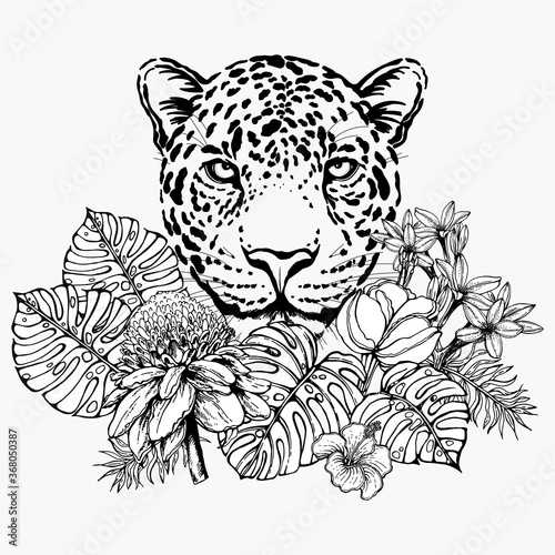 Poster / card / composition of hand drawn sketch style portrait of leopard with tropical plants isolated on white background. Vector illustration.