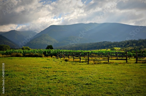 Widok na Tatry z łąki w Liptowskim Mikulaszu, Słowacja