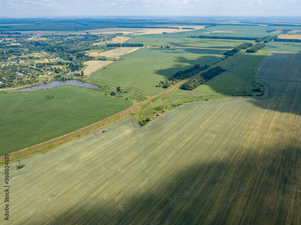 Aerial drone view. A field of ripening wheat and corn in Ukraine near the lake.
