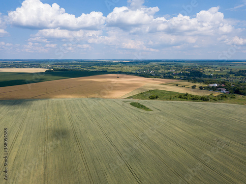 Fields of ripening wheat and corn in Ukraine. Aerial drone view.