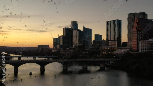 Austin Congress Bridge Bats photo