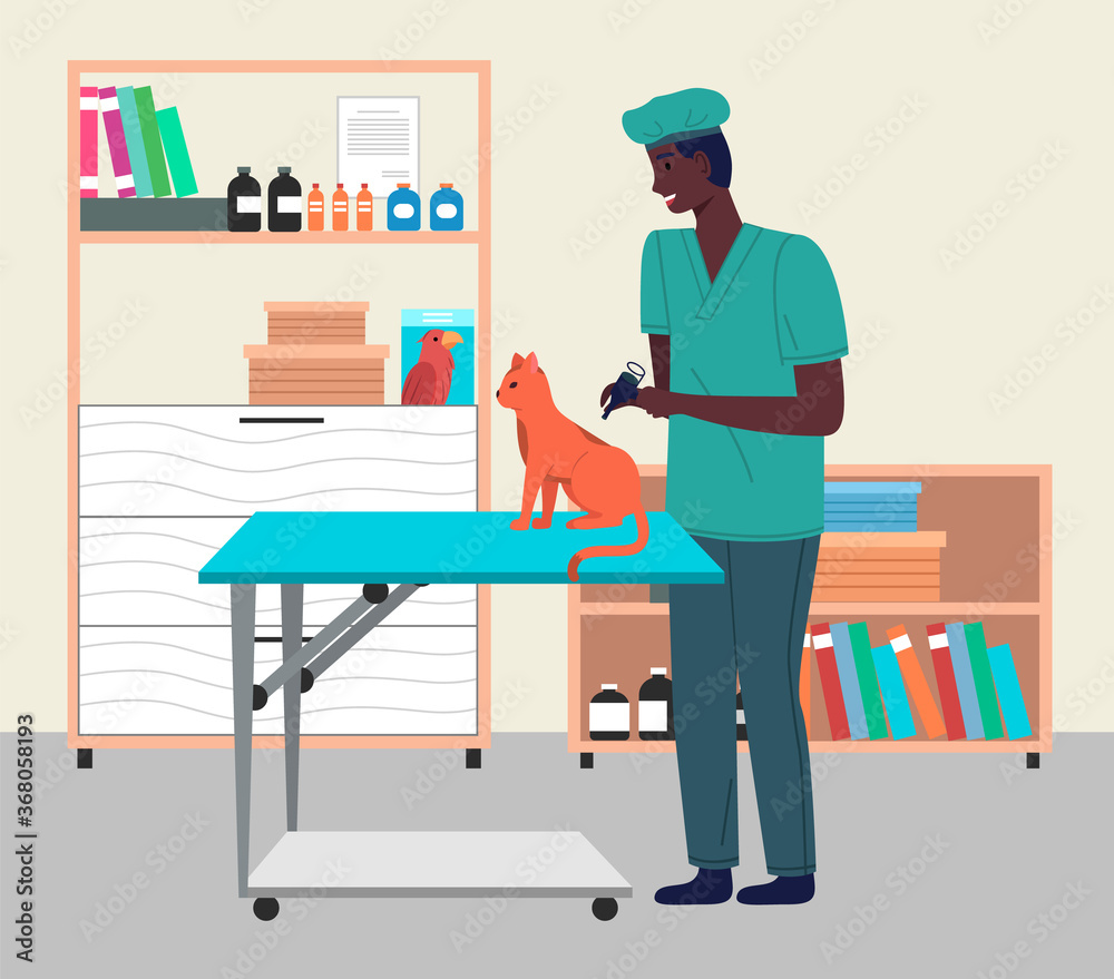 Veterinary care. Veterinarian black man checking health of domestic pet, make vaccine to orange cat. Treatment of animals in veterinary clinic. Visit doctor in vet hospital. Interior of medical office