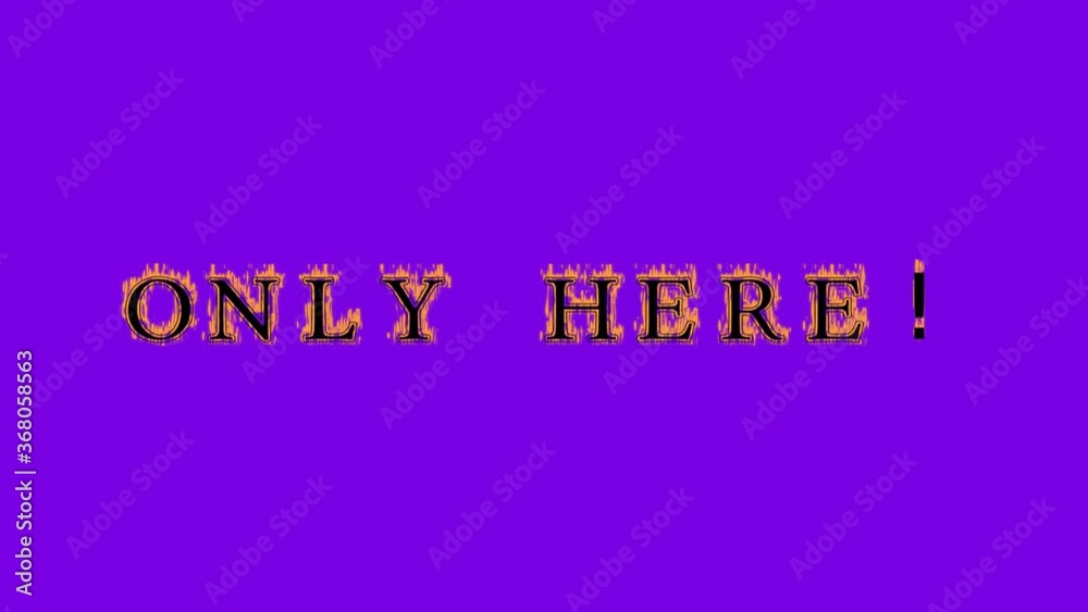 only here! fire text effect violet background. animated text effect with high visual impact. letter and text effect. Alpha Matte. only here! fire text effect violet background. animated text effect with high visual impact. letter and text effect. Alpha Matte.
