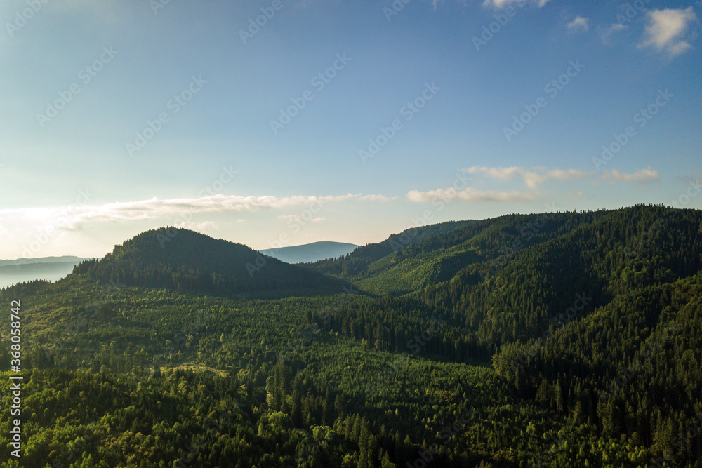 Aerial view of green mountain hills covered with evergreen spruce forest in summer.