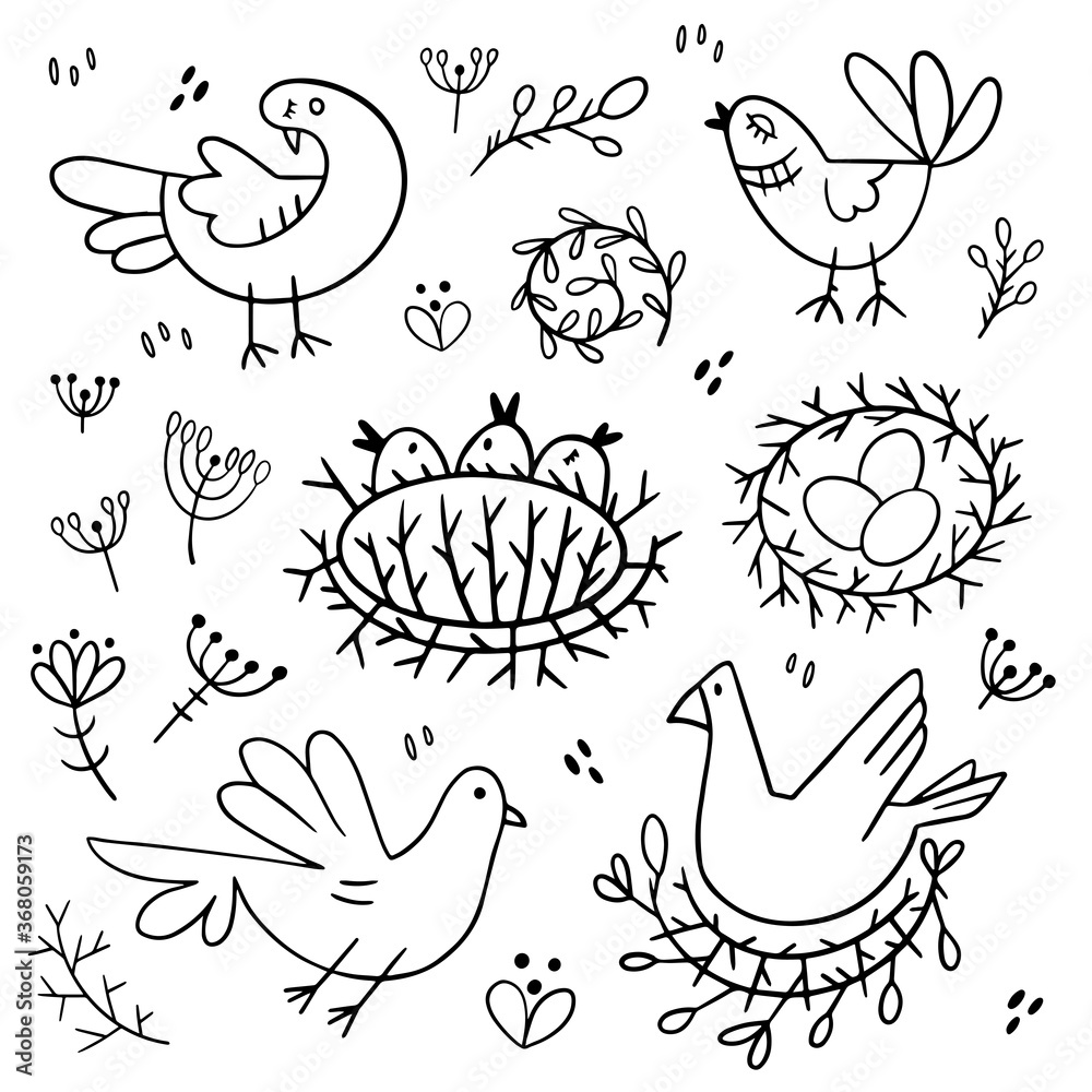 Set of images of birds. Design elements in doodle style. Natural style, branches, plants, eggs, nests.
