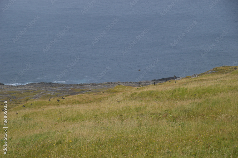 The dramatic coast and mountain landscapes of the Faroe Islands