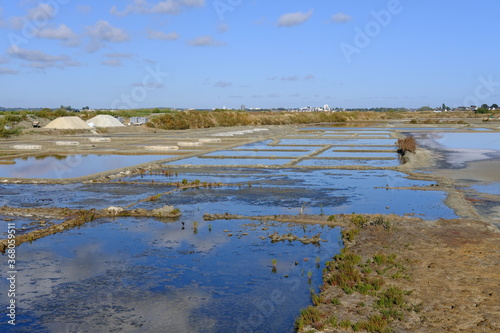 Fototapeta Naklejka Na Ścianę i Meble -  The slated marshes of Guerande. In the west part of France.
(July 2020, Batz sur mer)
