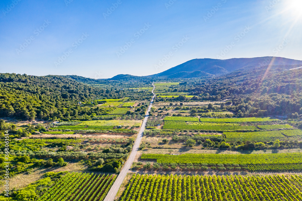 Hilly landscape with beautiful vineyards and olive groves on island of Vis in Croatia, europe in summer. Aerial view