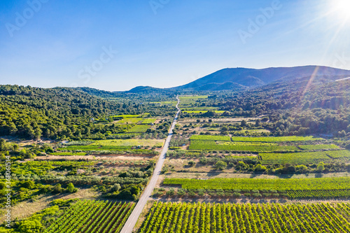 Hilly landscape with beautiful vineyards and olive groves on island of Vis in Croatia, europe in summer. Aerial view