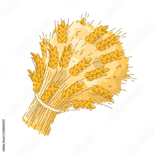 Sheaf of wheat. Harvest. Vector illustration.