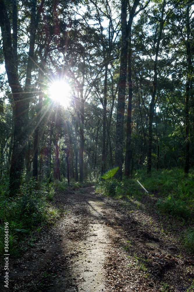 Fototapeta premium el terrero