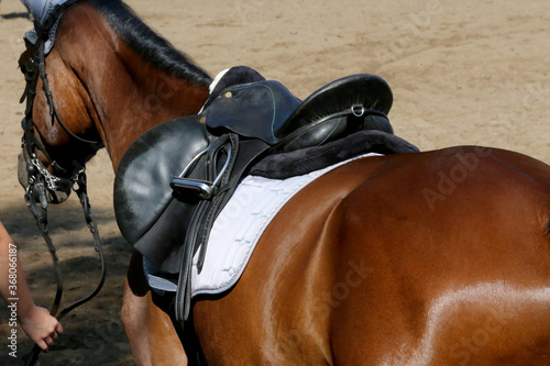 Photo of old leather saddle with stirrups