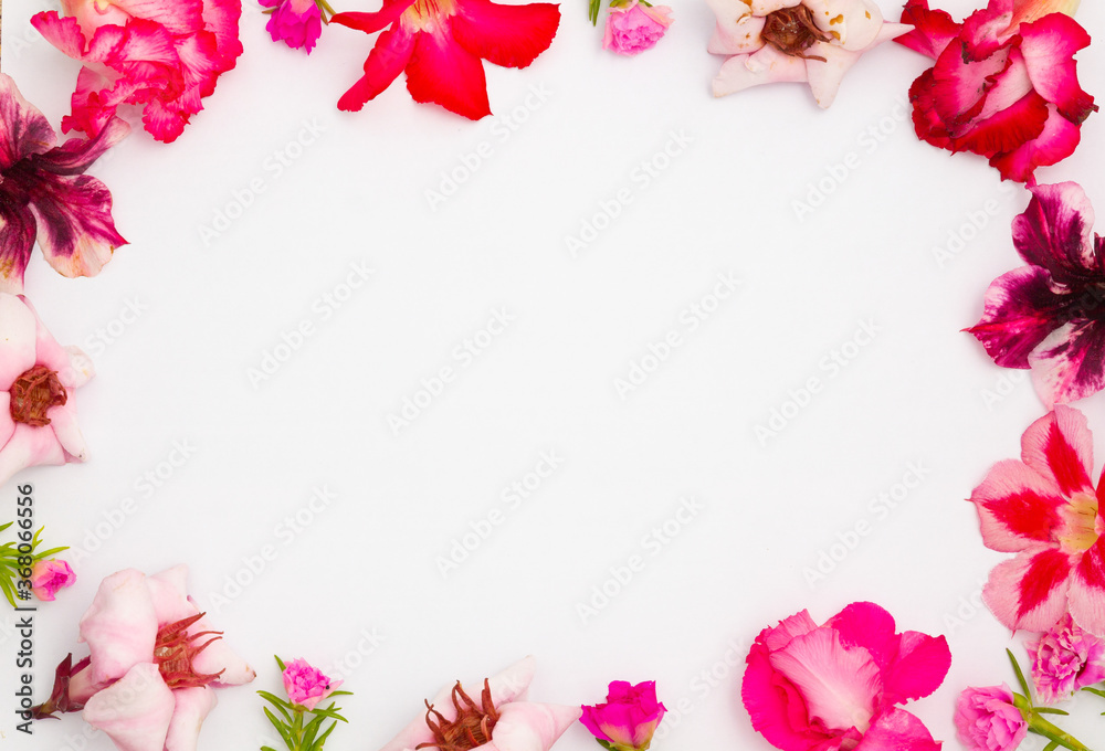 Pink azalea flowers and empty paper sheet.spring border pink blossom,Round frame of pink flowers, top view. Blank template for your text. flat lay.