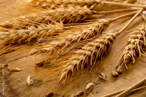 Spighe su legno