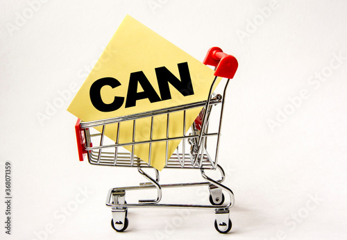 Shopping cart and text can on white paper note list. Shopping list, business concept on white background.