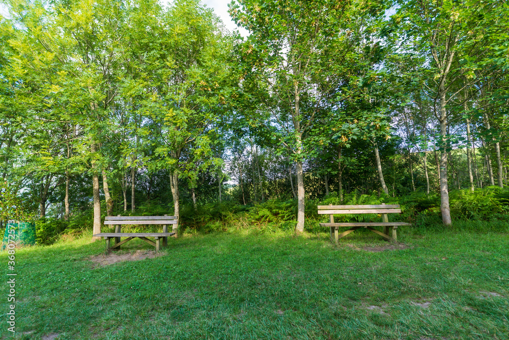 View of two benches in a viewpoint of a forest in Elorriaga, Basque Country, Spain, horizontal View of two benches in a viewpoint of a forest in Elorriaga, Basque Country, Spain, horizontal