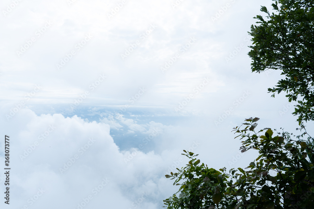 Obraz premium el terrero