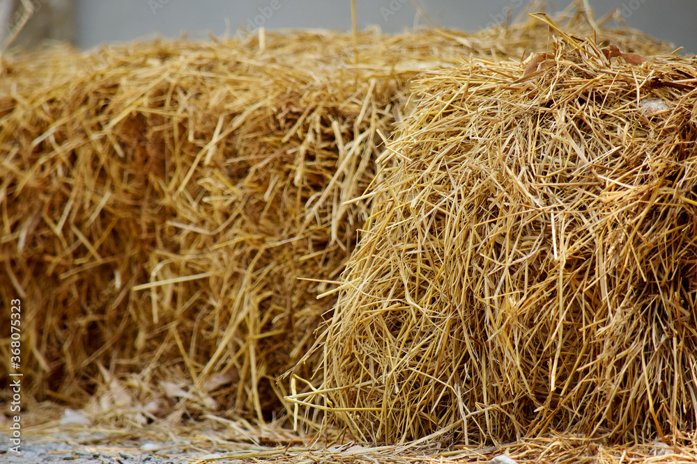 Haystack, Bale of hay group. Agriculture farm symbol of harvest time with dried grass, hay straw. Haystack, Bale of hay group. Agriculture farm symbol of harvest time with dried grass, hay straw.