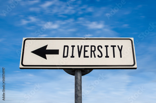 Diversity road sign, arrow on blue sky background. One way blank road sign with copy space. Arrow on a pole pointing in one direction.