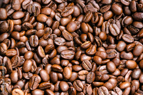 Coffee Beans Closeup On Dark Background