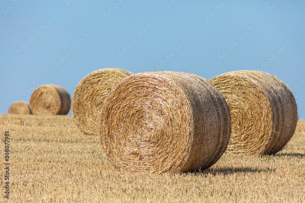 Bales on the field, big yellow round. Bales on the field, big yellow round.