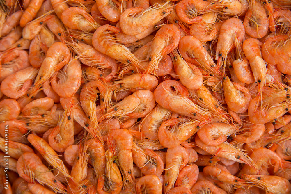 Many small shrimps as a texture, background Many small shrimps as a texture, background