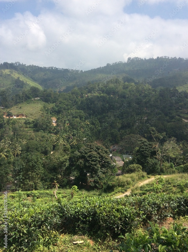 Naklejka premium view from the hill