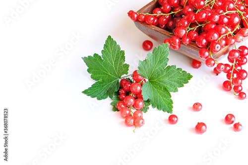 fresh red currant in a wooden bowl isolated on white background. summer harvest of vitamins.
