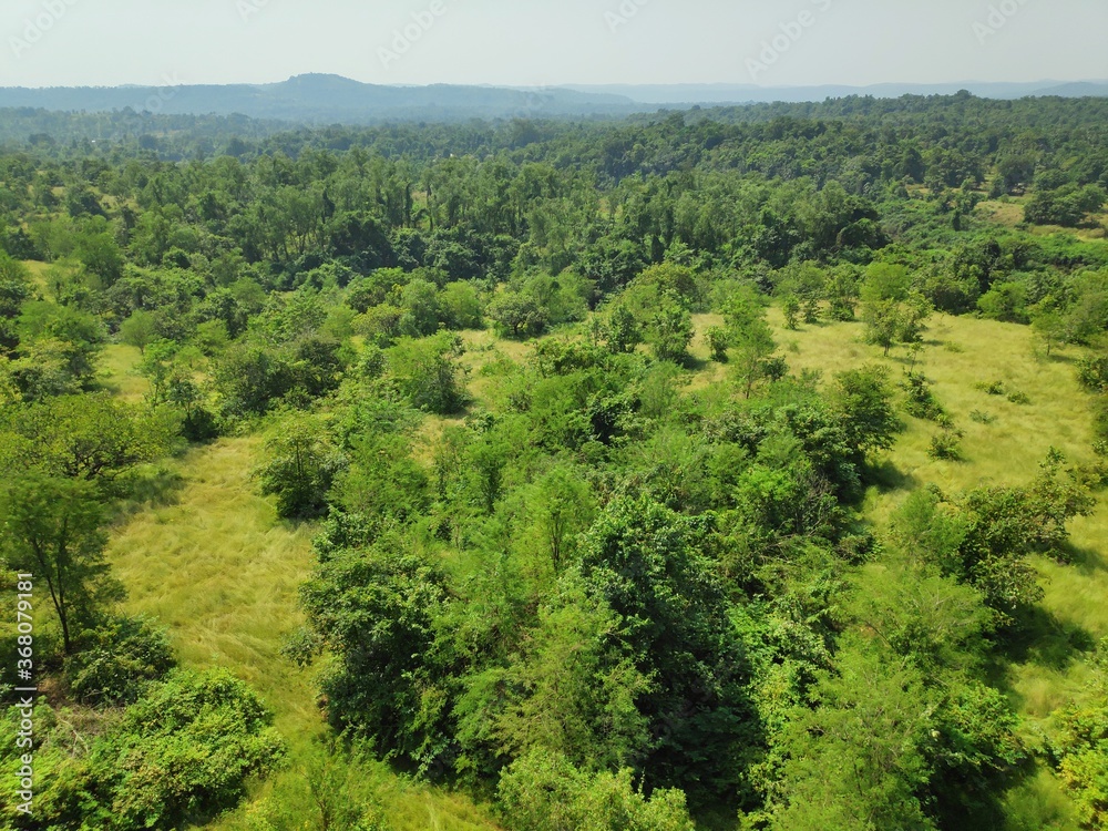 landscape with trees