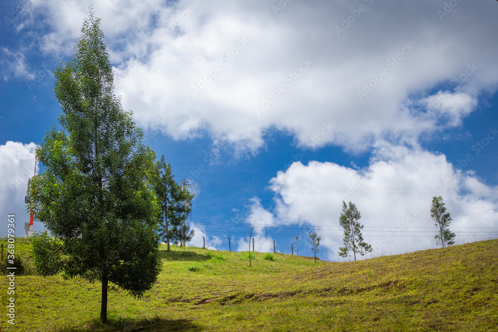 Colombian landscapes. Green mountains in Colombia, Latin America
Colombian landscapes. Green mountains in Colombia, Latin America