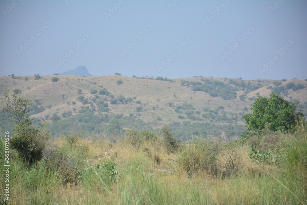 Village Life and Nature