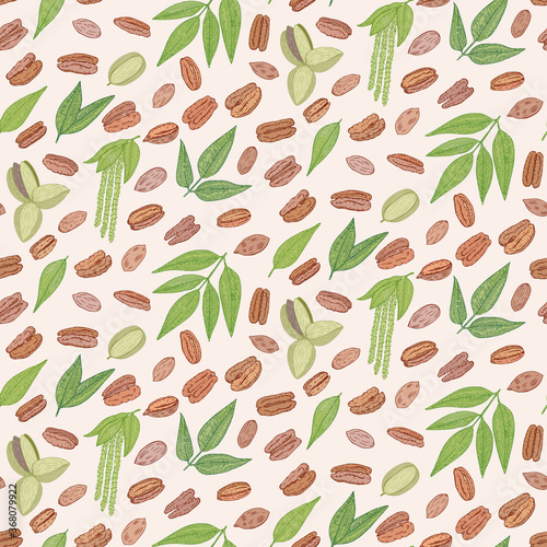 Pecan nut seed, leaves, flowers plant pattern. Hand drawn style. Retro vintage graphic design. Detailed botanical vector for Organic Food, cosmetics component