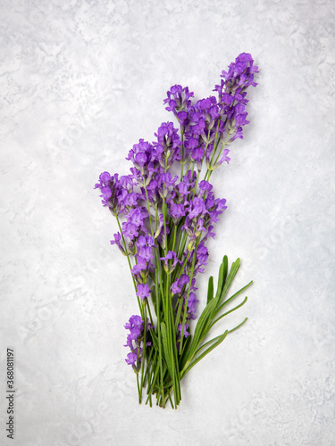 Lavender bouquet on a gray background. Top view, flat lay.