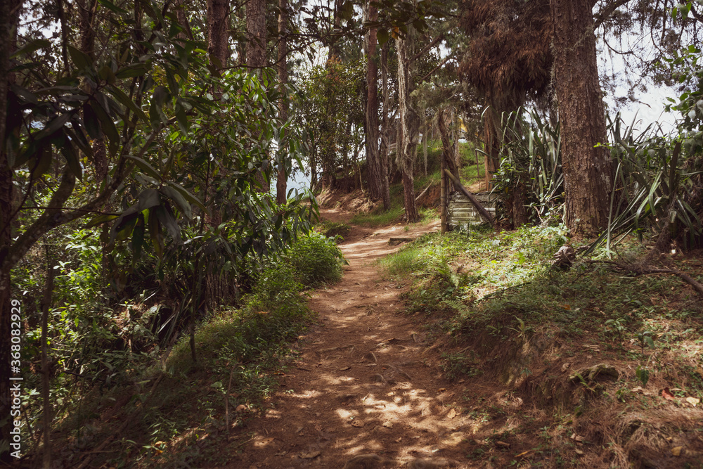 Dirt roads in the middle of the mountain Dirt roads in the middle of the mountain