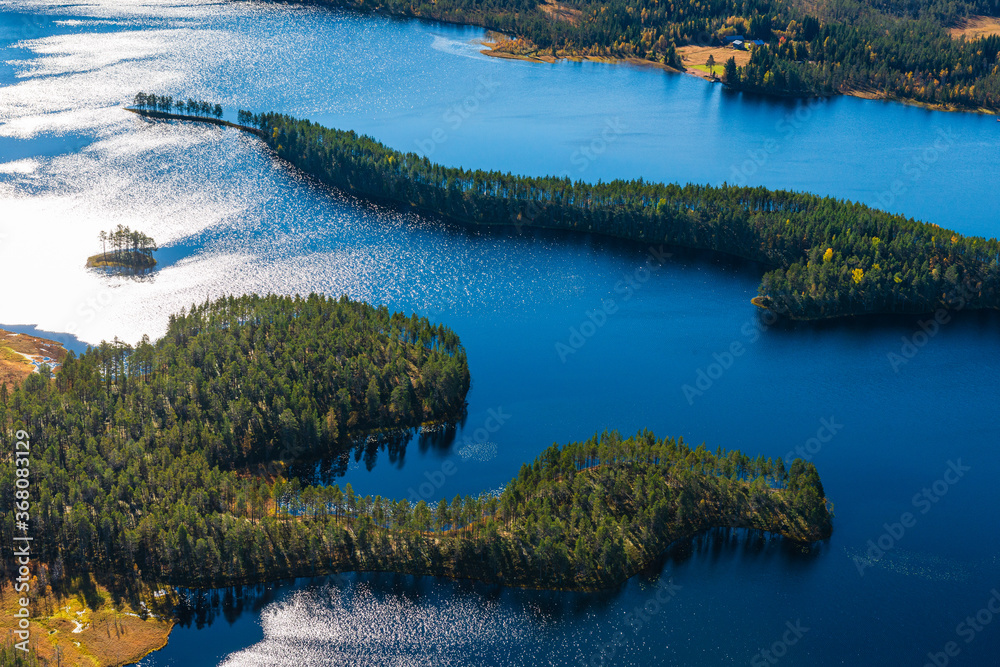 Aerial view of forest and lake, Norway