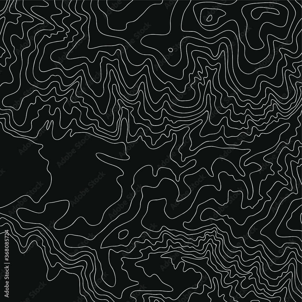 Fototapeta premium Topographic map, vector